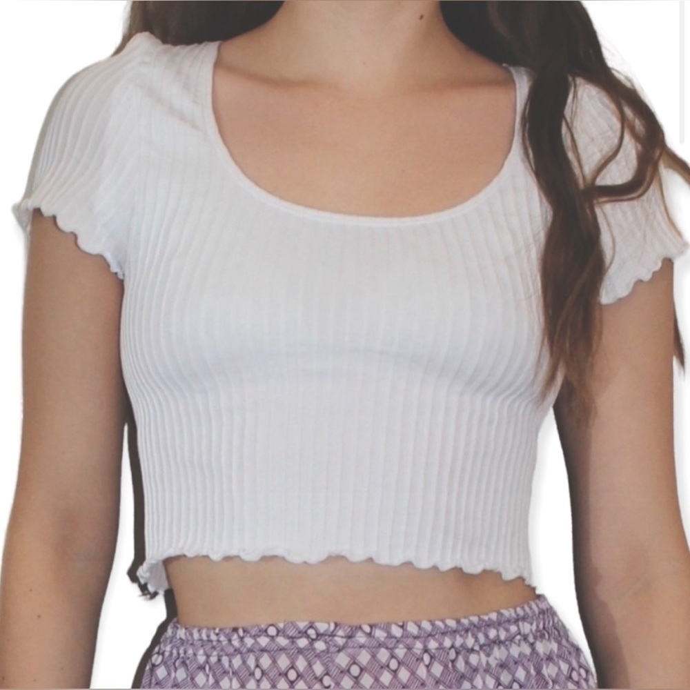 Colsie White Rib-knit Shirt Sleeve Cropped Top. Womens Medium